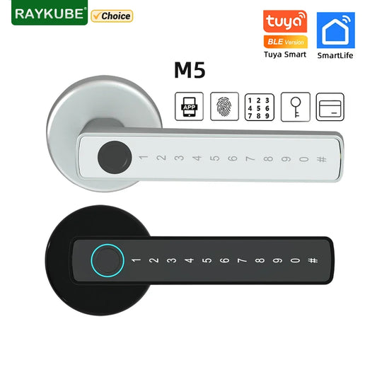 Serrure Intelligente RAYKUBE M5